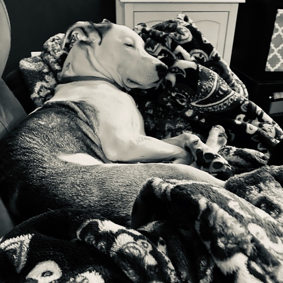 Meet your Posher, Kristi - Picture 4 of 17